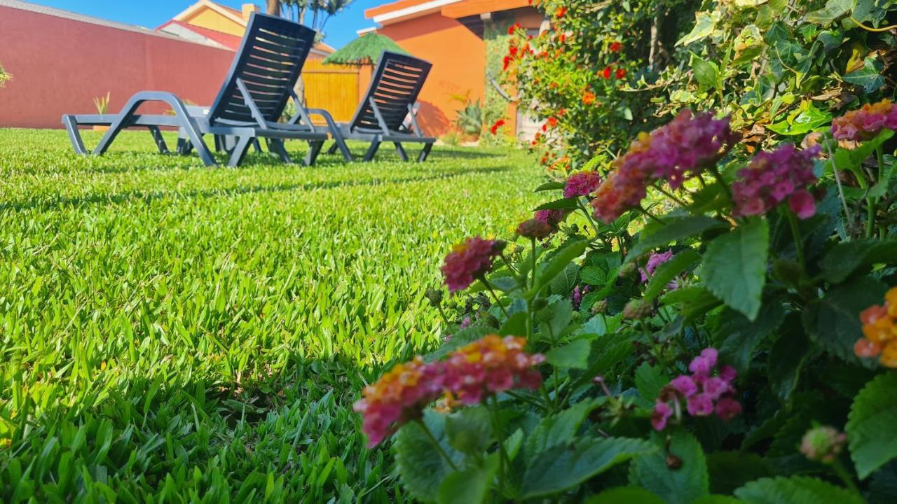 Hollidays Dreams Villa โปโว เดอ วาร์ซิม ภายนอก รูปภาพ