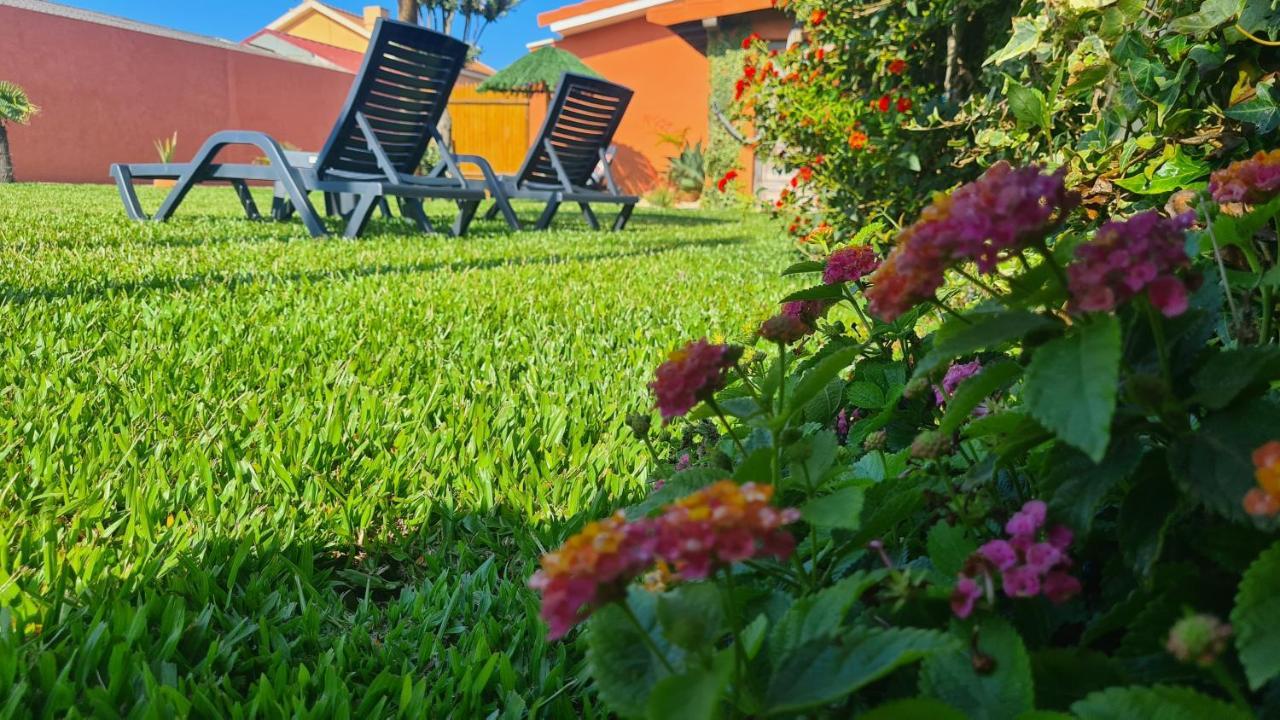 Hollidays Dreams Villa โปโว เดอ วาร์ซิม ภายนอก รูปภาพ